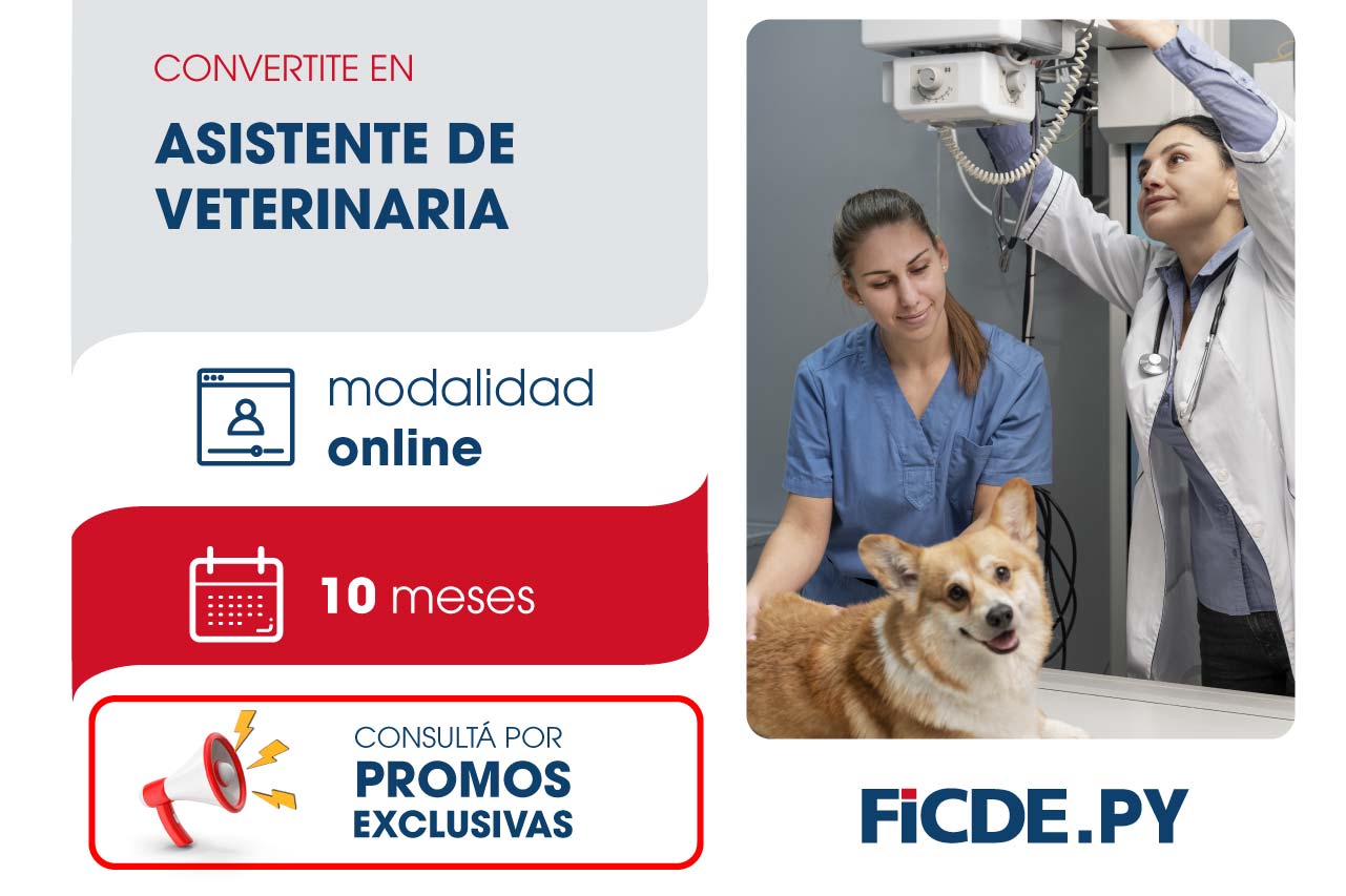 Convertite en Asistente de Veterinaria – Online