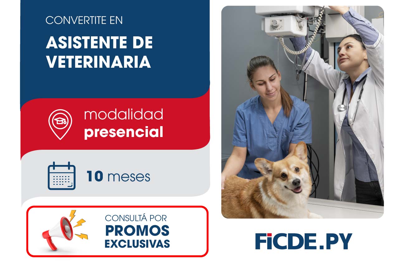 Convertite en Asistente de veterinaria – Presencial
